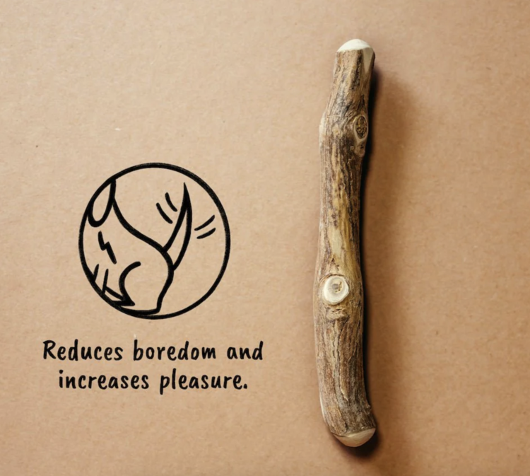 Canophera Canophera Chew