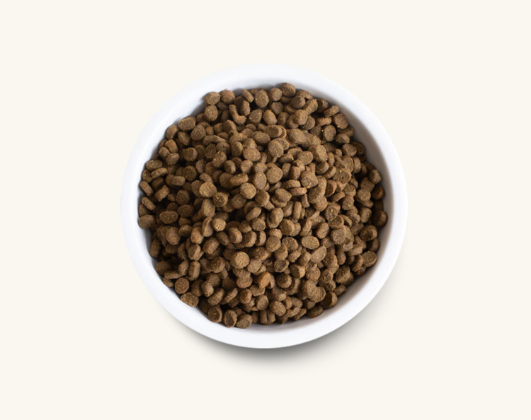 Open Farm Open Farm Dry - CAT - Salmon