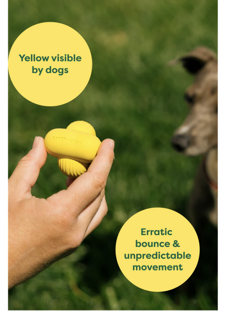 Earth Rated Earth Rated - Fetch Toy -