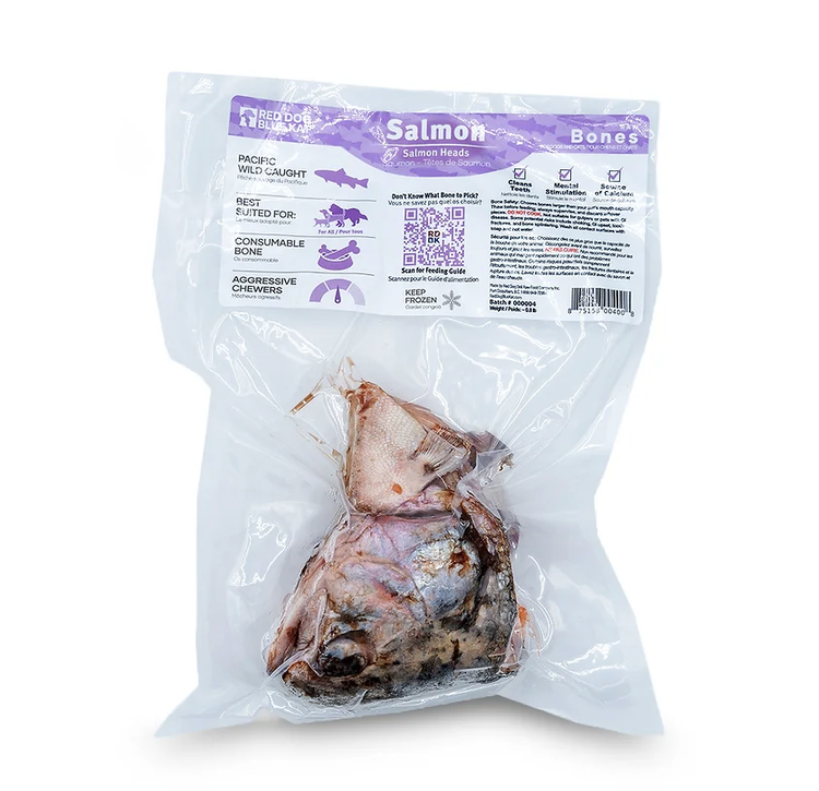 Red Dog Blue Kat Red Dog Blue Kat - Salmon Head