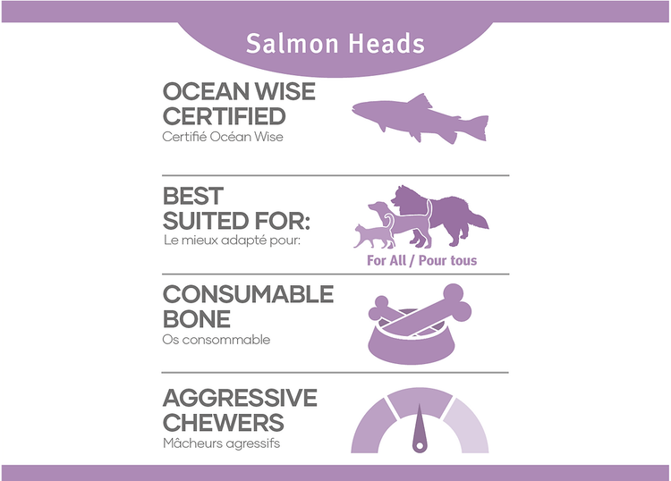 Red Dog Blue Kat Red Dog Blue Kat - Salmon Head