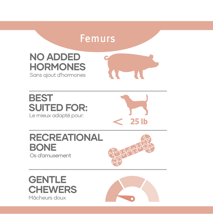 Red Dog Blue Kat Red Dog Blue Kat - Pork Femurs