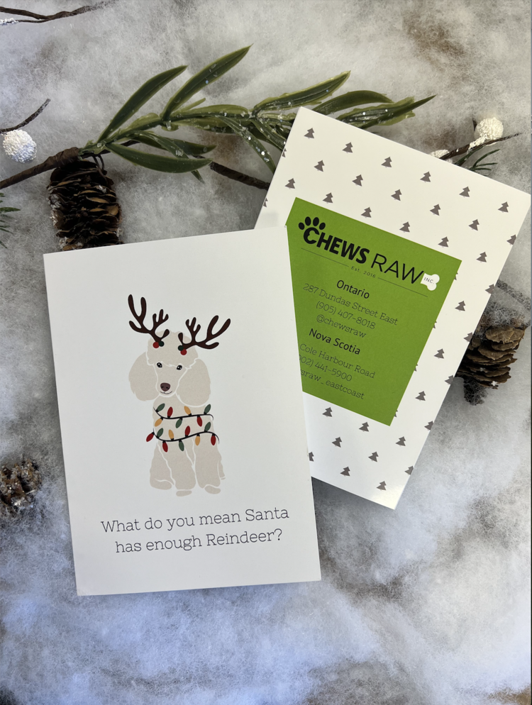 Chews Chews - Folded Card - Poodle Reindeer