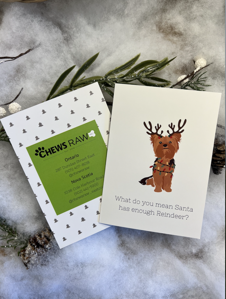 Chews Chews - Folded Card - Yorkie Reindeer
