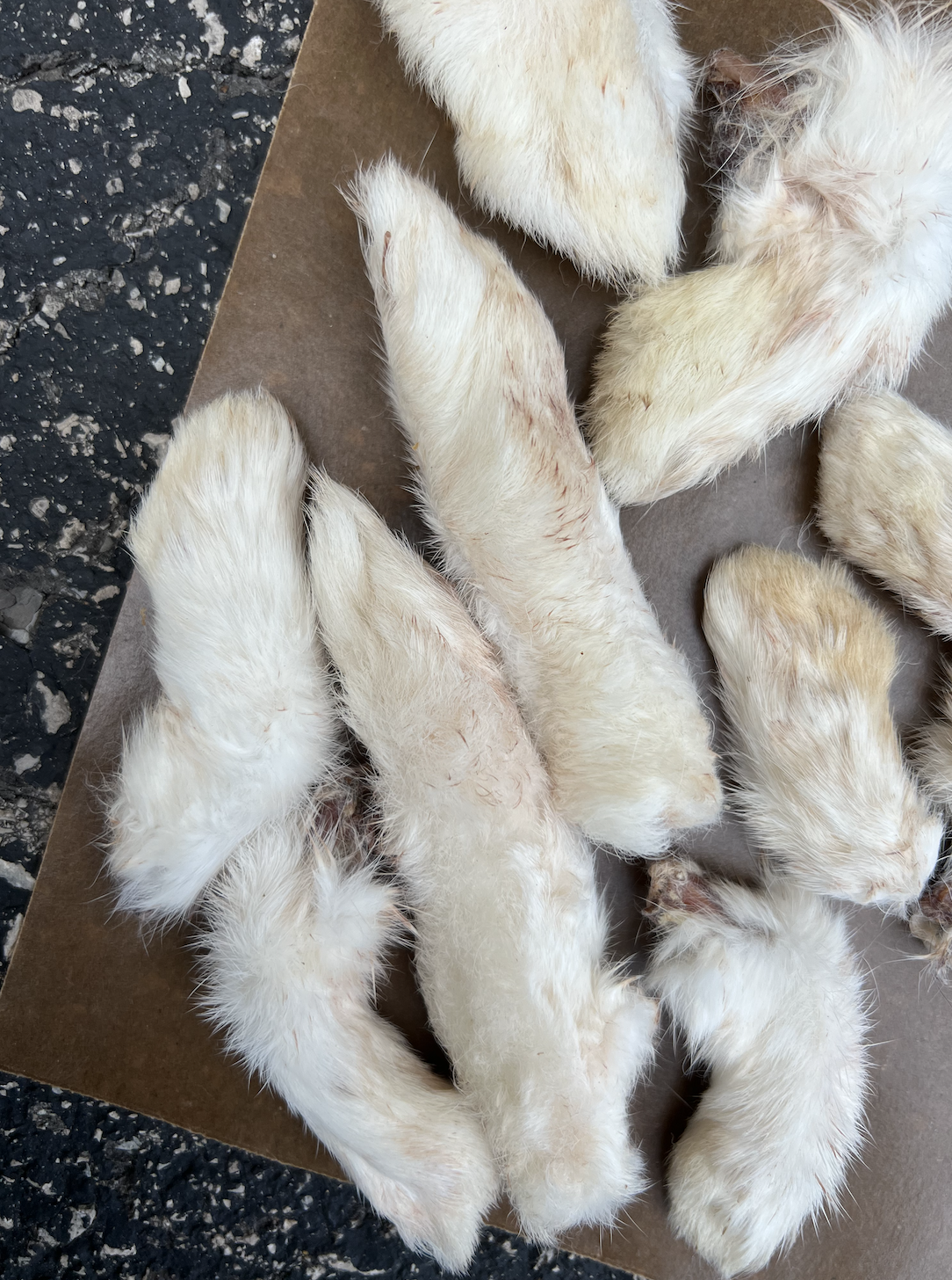 Barnies Artisan Farms - Rabbit Feet (1g)