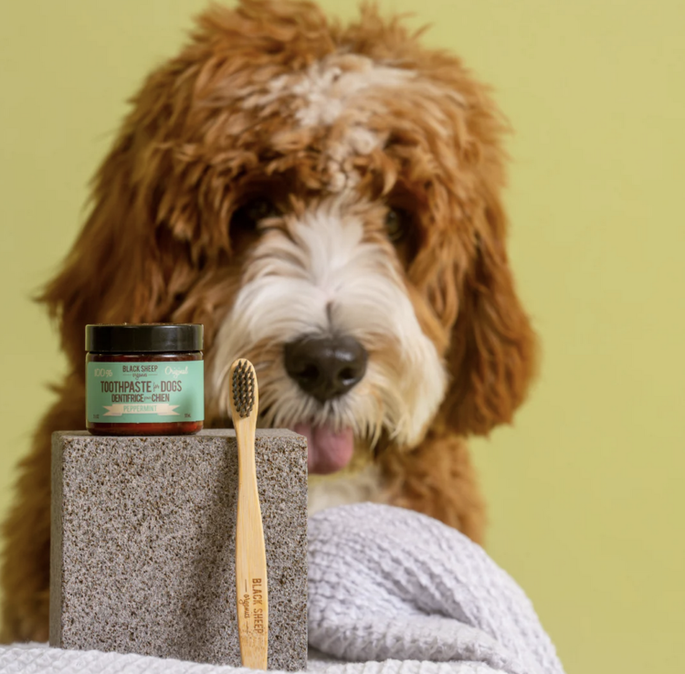 Black Sheep Black Sheep - Organic Toothpaste - Peppermint