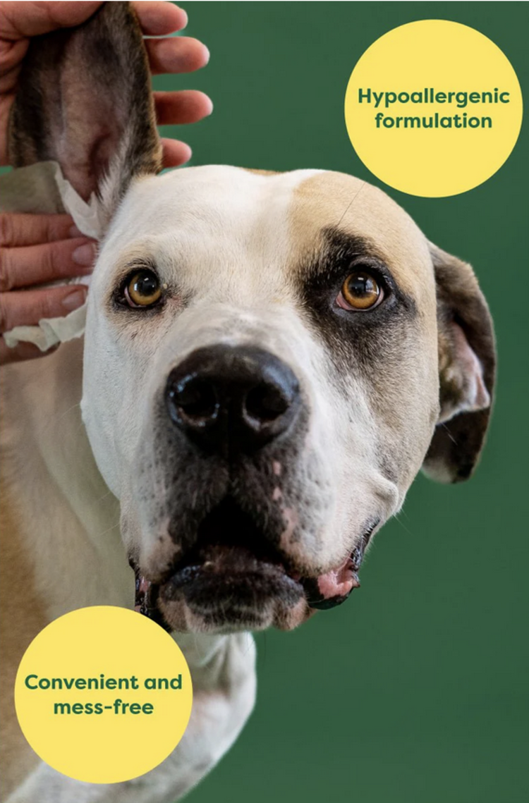 Earth Rated Earth Rated - Ear Wipes - 60ct