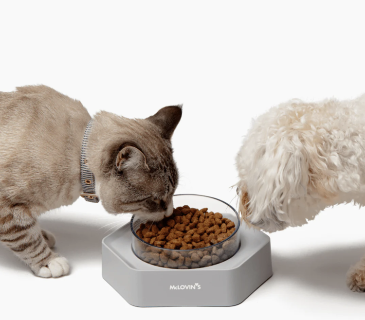 McLovins McLovins Angled Bowl - Peach Pink