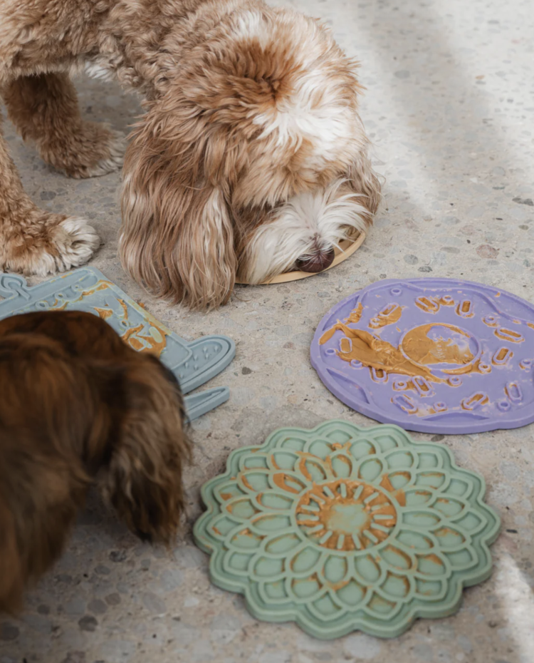 Dexy Paws Dexy Paws - Mmm Donut Lick Mat