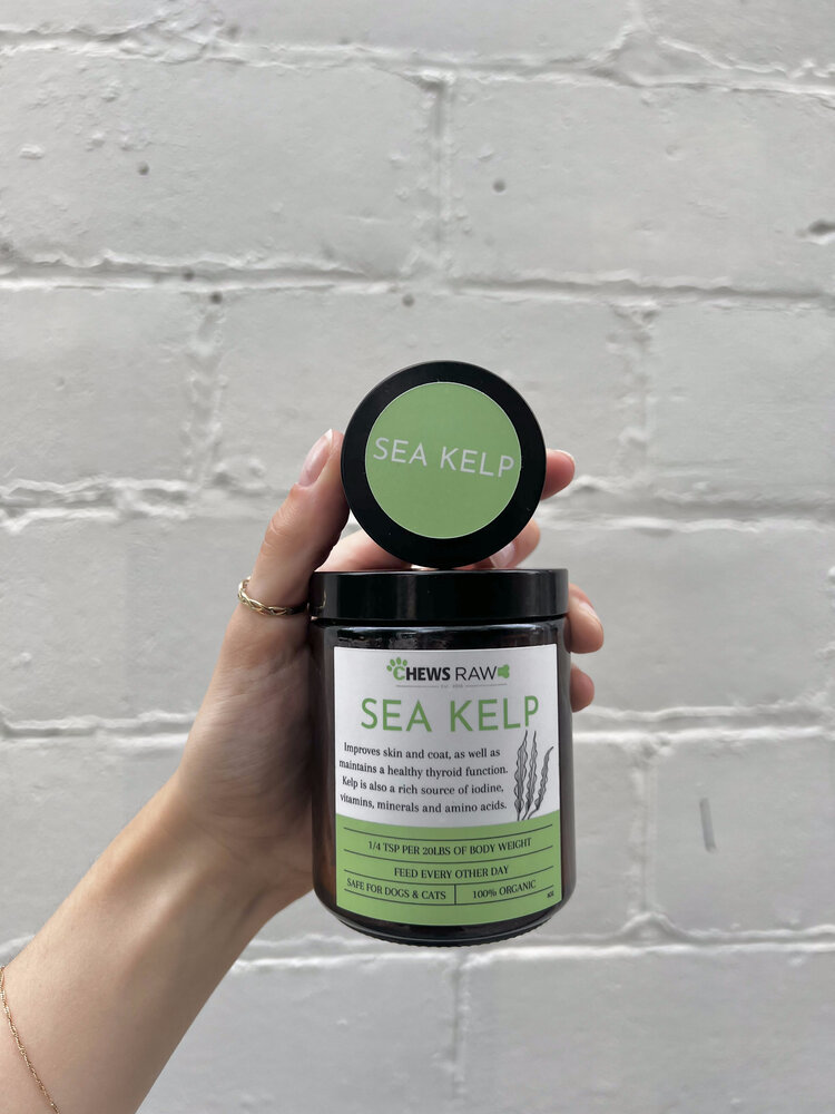 Chews Chews - Sea Kelp