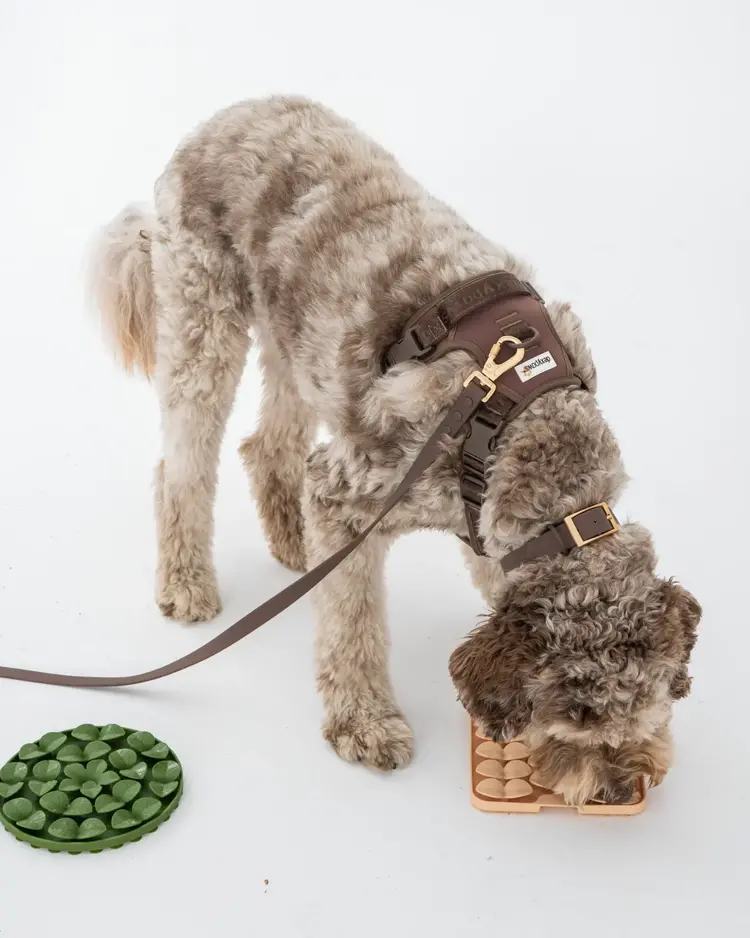 Dexy Paws Dexy Paws - Circle Hide and Seek Snuffle Mat - Army Green