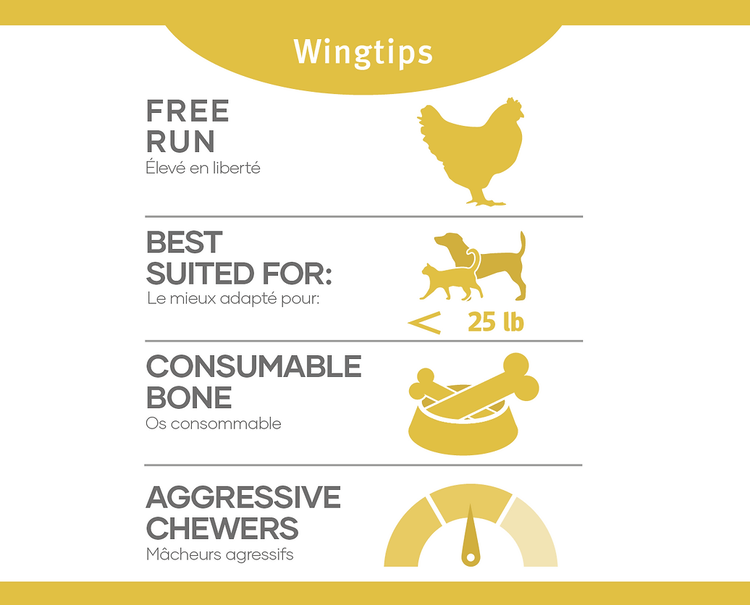 Red Dog Blue Kat Red Dog Blue Kat - Chicken Wingtips