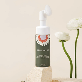 Dandylion Dandylion - Clean Paws No-Rinse Foaming Cleanser