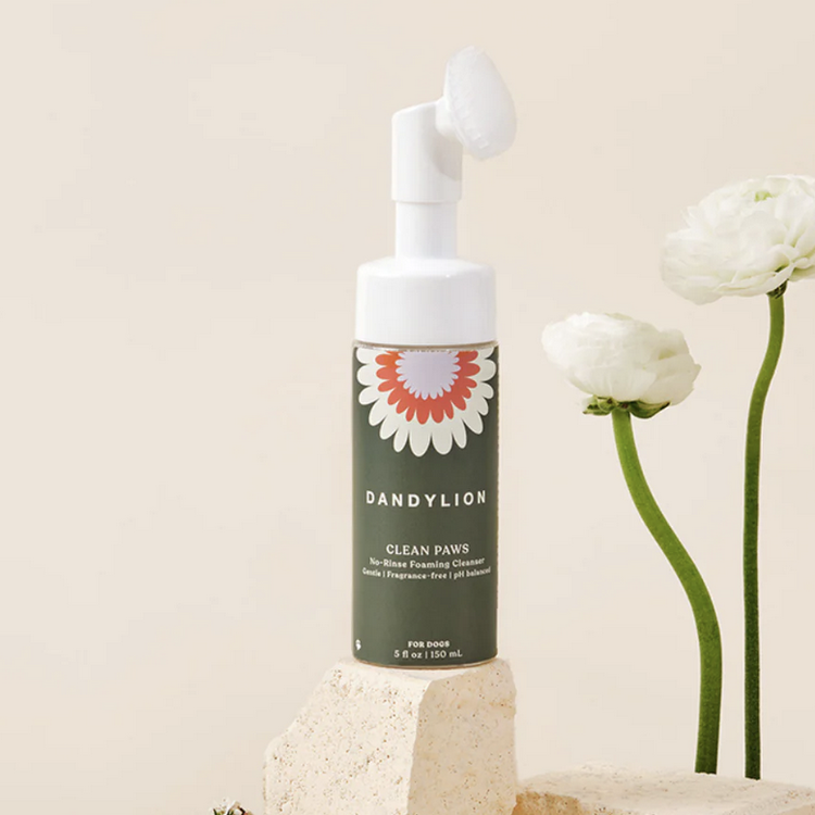 Dandylion Dandylion - Clean Paws No-Rinse Foaming Cleanser