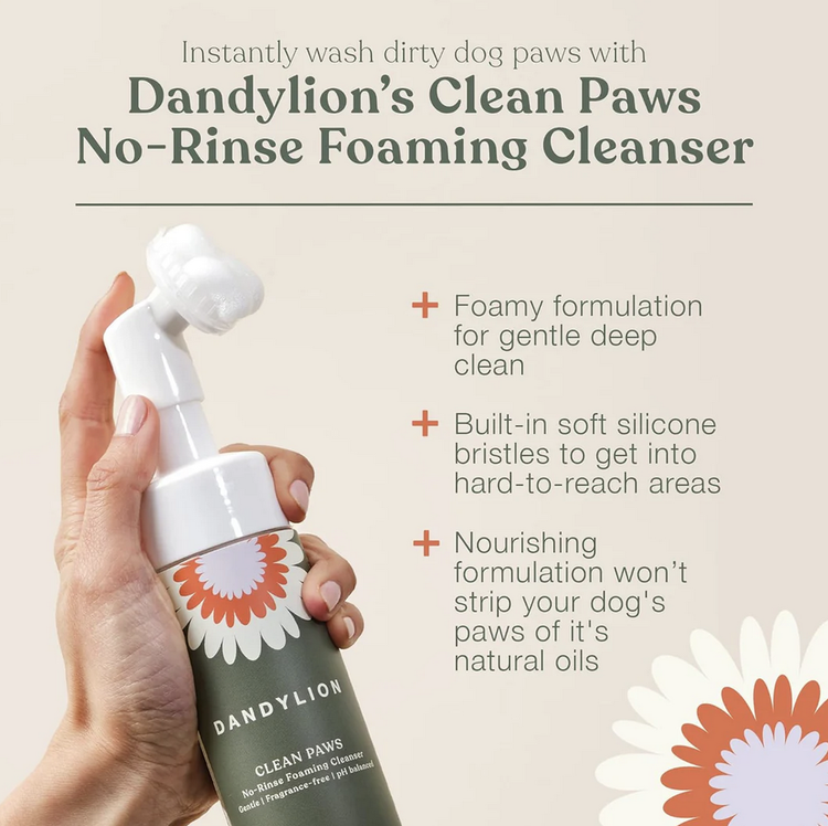 Dandylion Dandylion - Clean Paws No-Rinse Foaming Cleanser