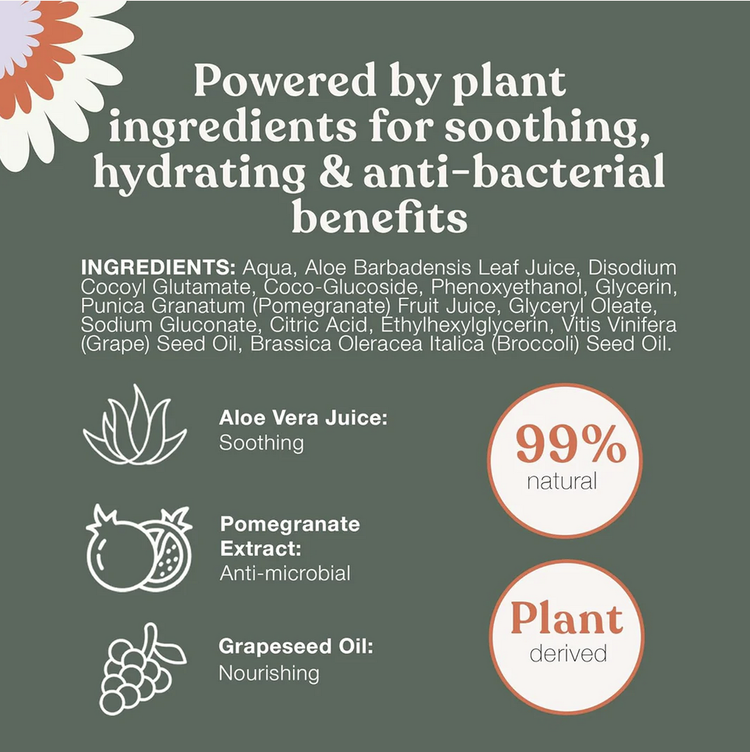 Dandylion Dandylion - Clean Paws No-Rinse Foaming Cleanser