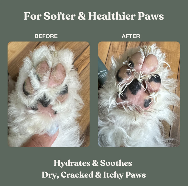Dandylion Dandylion - Soft Paws Hydrating Paw Lotion