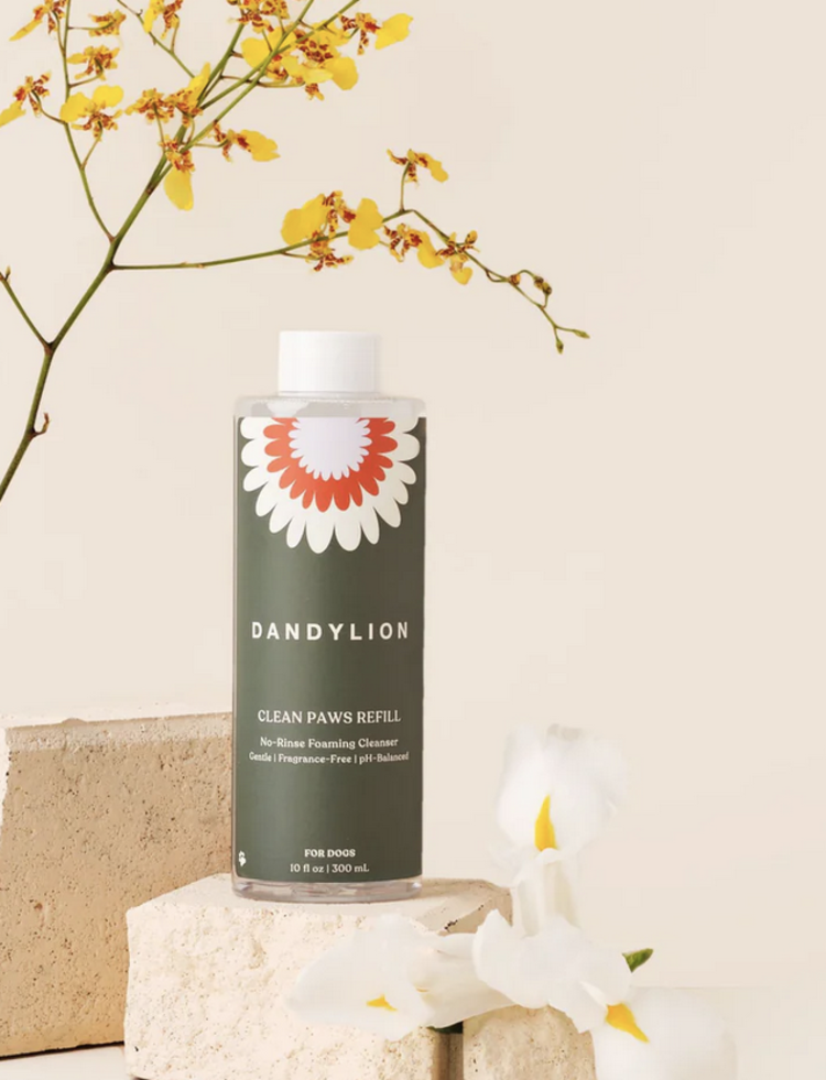 Dandylion Dandylion - No-Rinse Foaming Cleanser - Refill