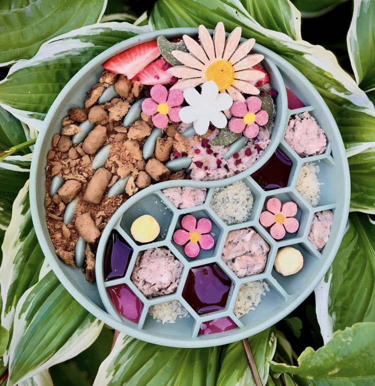 Livstrong Blends For Life - Green Lipped Mussel