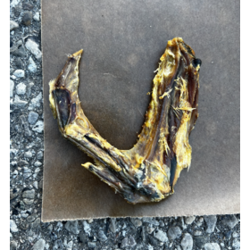 Kyon Distribution Kyon - Duck Wing (1pc)