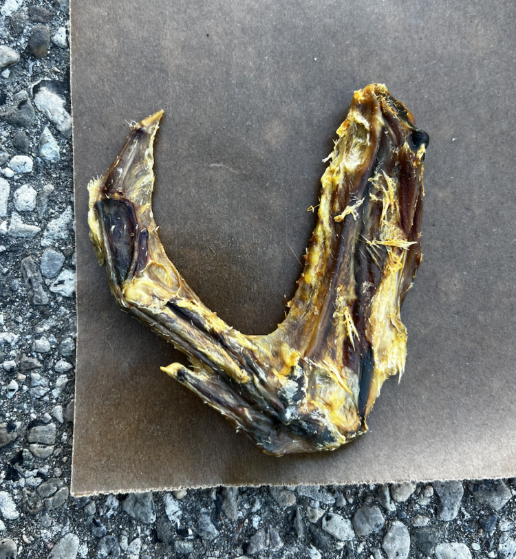 Kyon Distribution Kyon - Duck Wing (1pc)