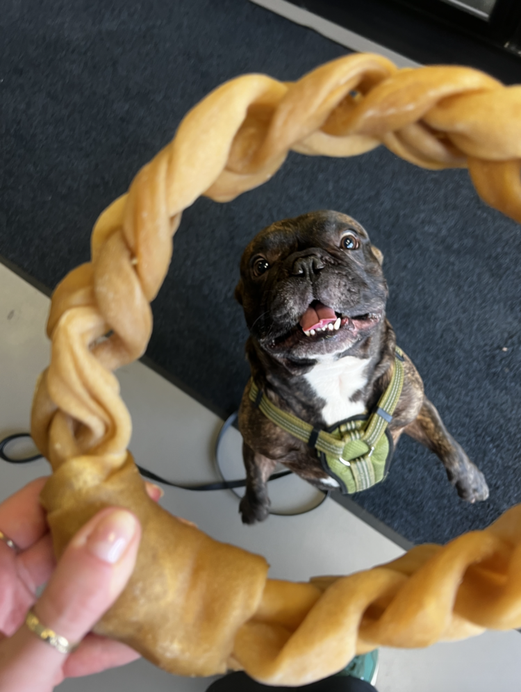 Nature's Own Nature's Own - Braided Buffalo Cheek Donut (1pc)
