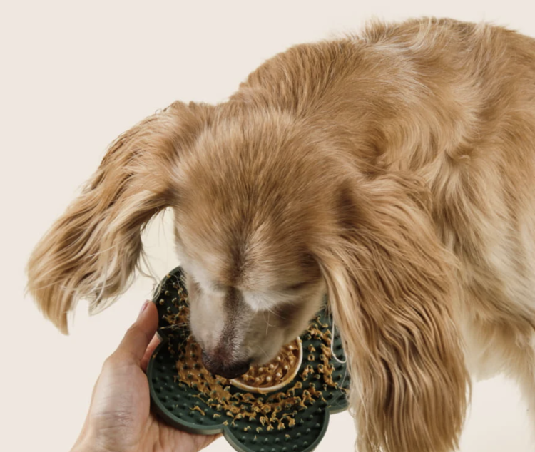 Dandylion Dandylion - Lick Mat