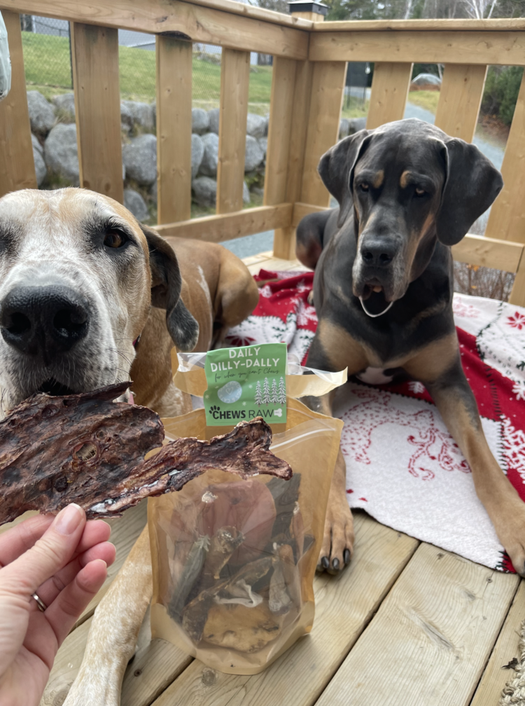 Chews Chews - Treat Bag - Daily Dilly Dally - Large Dog