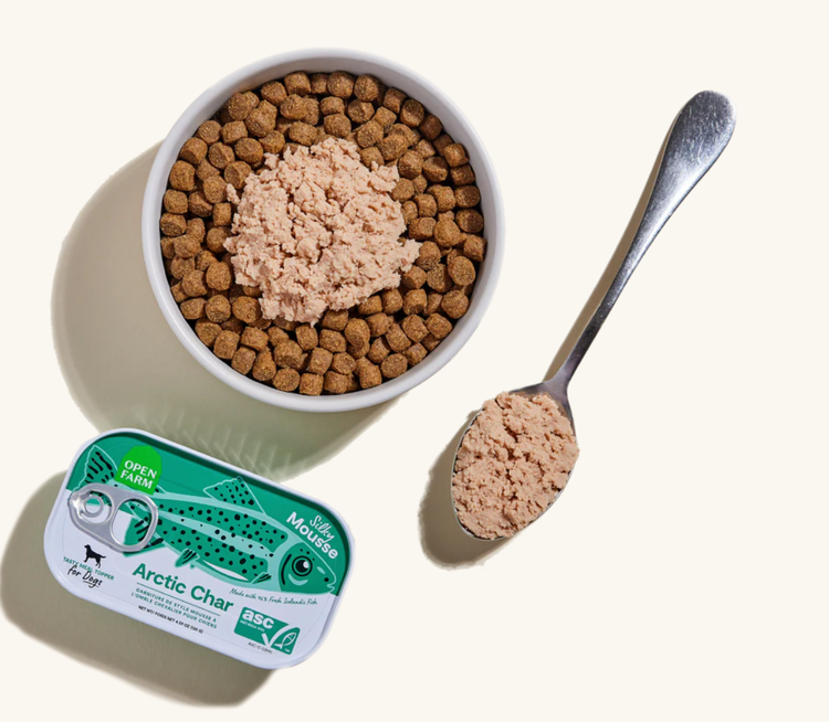 Open Farm Open Farm - Dog - Mousse - Arctic Char - 4.5oz