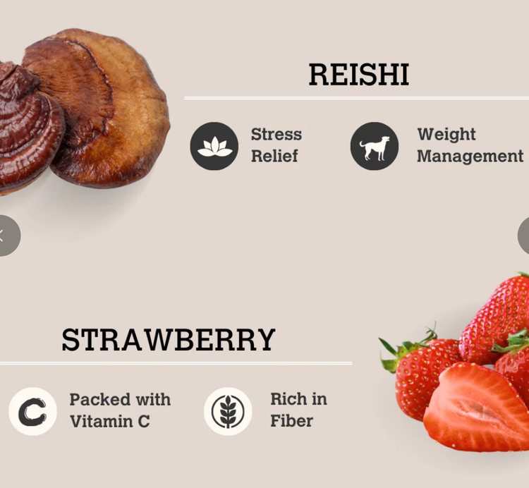 Charmy Charmy - Bone Broth - Reishi & Strawberry - 70g