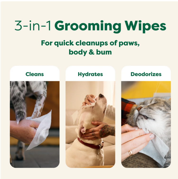 Earth Rated Earth Rated - Grooming Wipes - White Tea & Basil 100ct