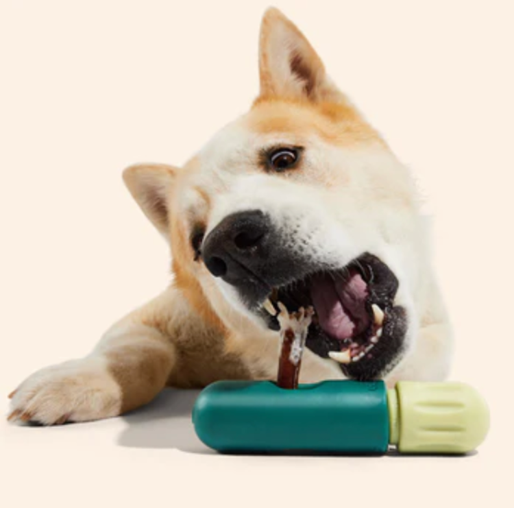 Woof Woof - Bully Safe