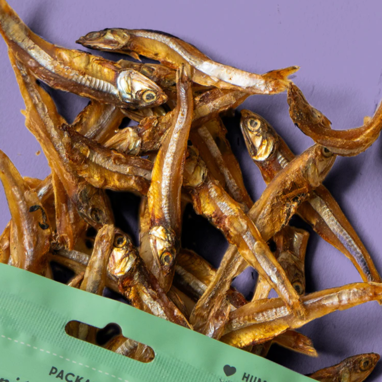 Wild Vibes Treat Co Wild Vibes Treat Co - Sun Dried Sardines