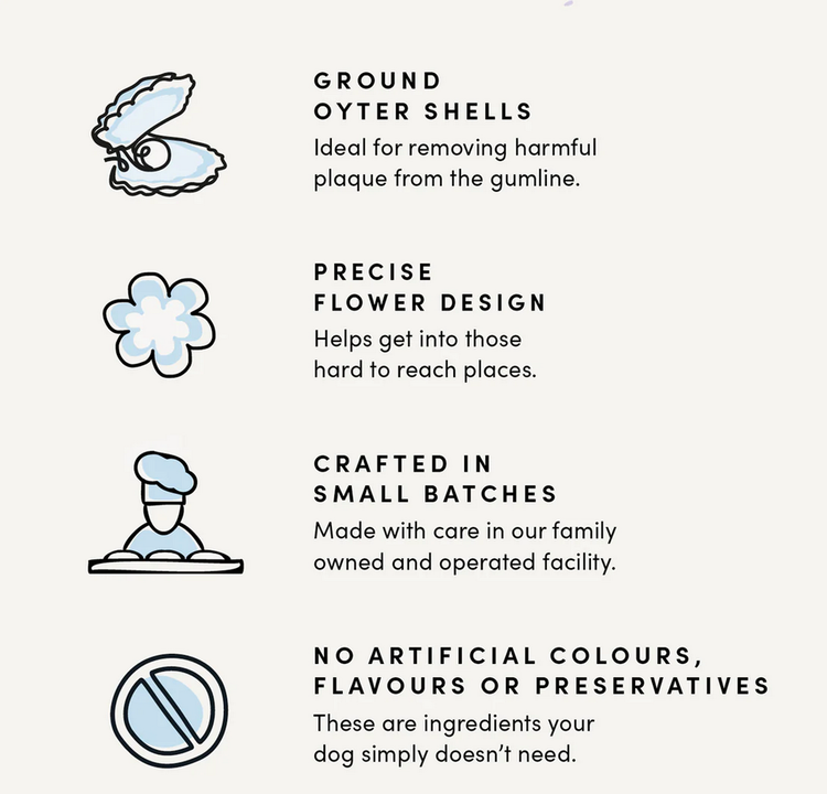 Crumps' Naturals Crumps - Plaque Busters - Pumpkin Spice -  7" (10pk)