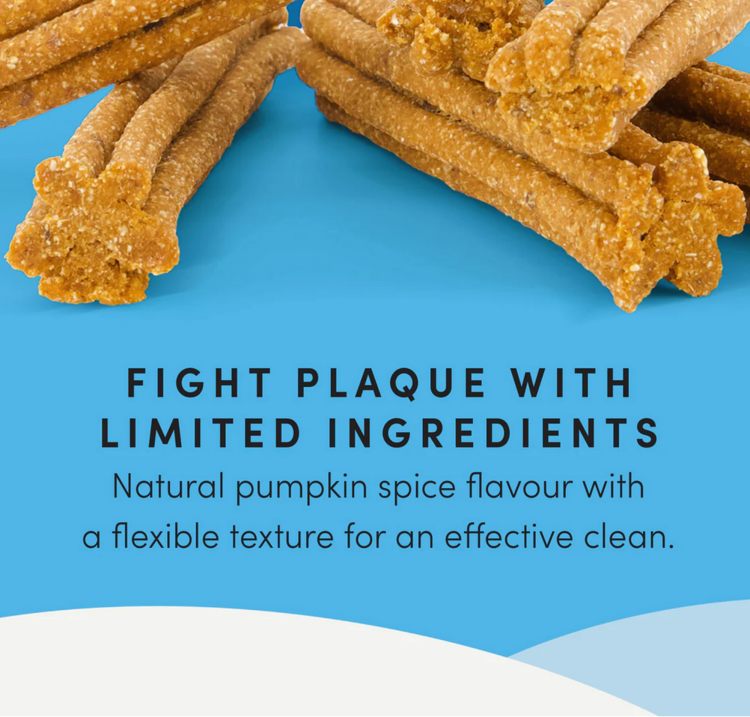 Crumps' Naturals Crumps - Plaque Busters - Pumpkin Spice -  7" (10pk)