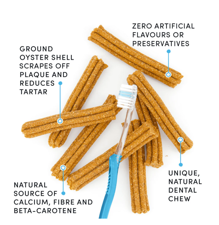 Crumps' Naturals Crumps - Plaque Busters - Pumpkin Spice -  7" (10pk)