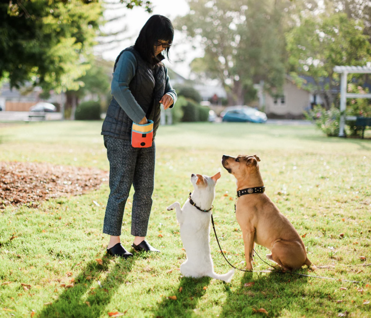 Pet Play Pet Play - Deluxe Training Pouch - Sunrise