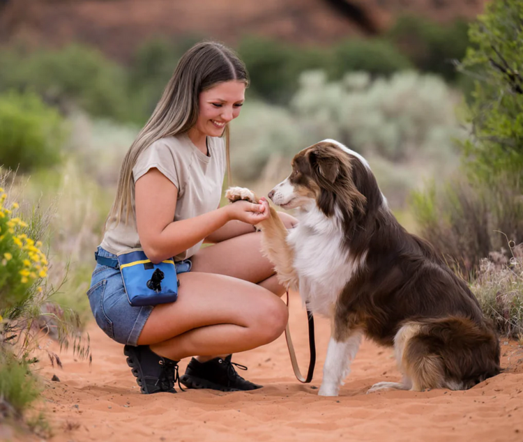 Pet Play Pet Play - Deluxe Training Pouch - Wildflower