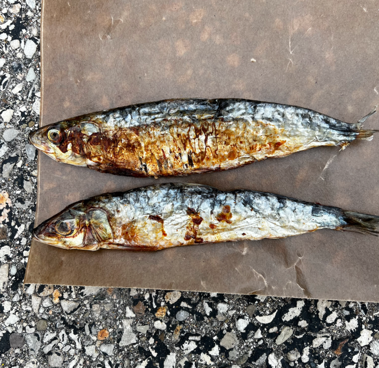 The Proper K9 Proper K9 - Sardine (1pc)