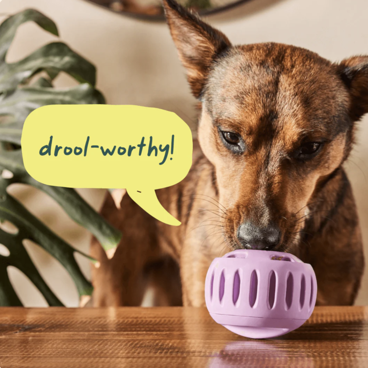 Woof Woof - Refill Pops - PB & Beef