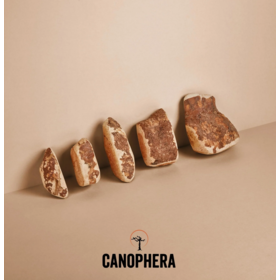 Canophera Canophera - Briar Root Wood