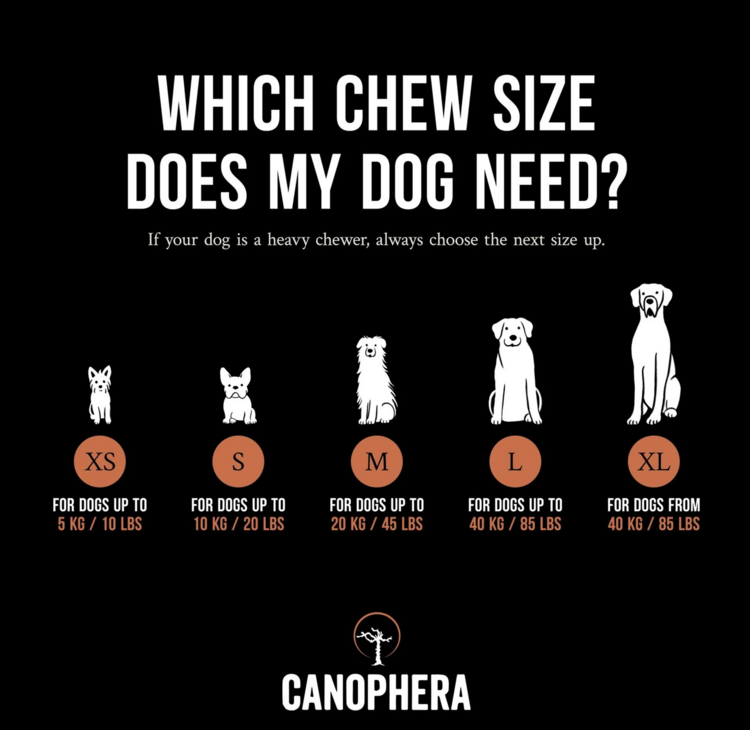 Canophera Canophera - Briar Root Wood