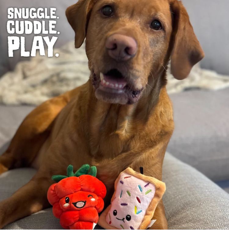 Snugarooz Snugarooz - Berry and Tart