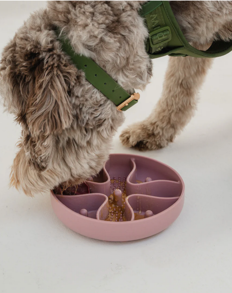Dexy Paws Dexy Paws - Blush Pink Hide and Seek Slow Feeder