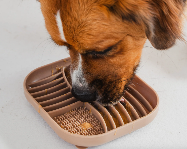 Dexy Paws Dexy Paws - Affogato - Hide and Seek Slow Feeder