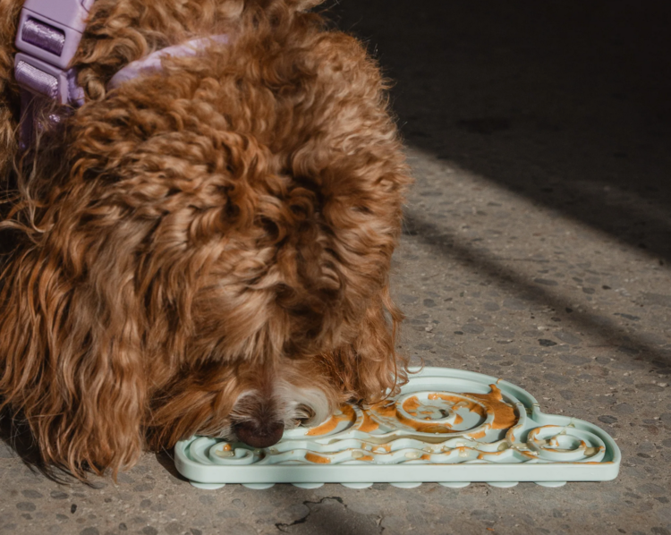 Dexy Paws Dexy Paws - Sky Blue Cloud Lick Mat