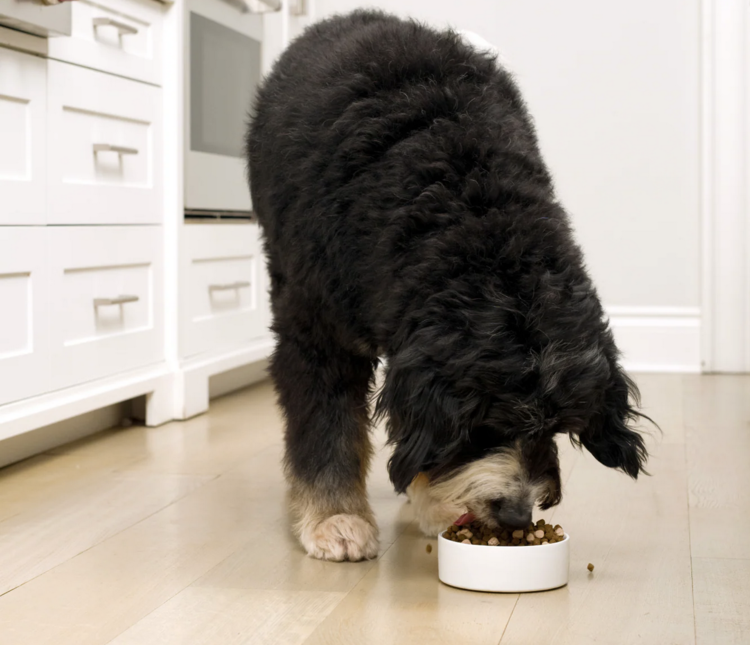 Open Farm Open Farm - Grain Free - RawMix - Open Prairie - 20lb