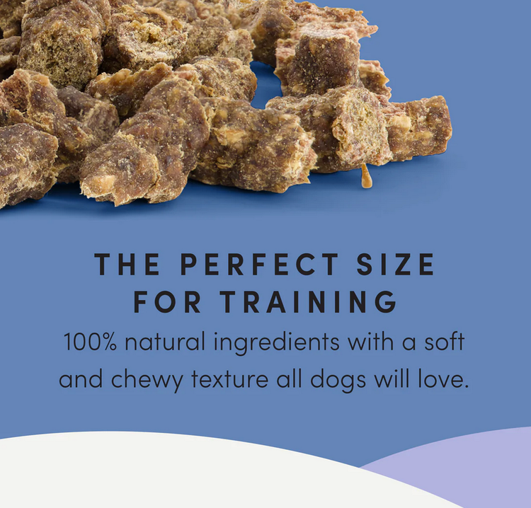 Crumps' Naturals Crumps - Mini Trainers - Beef - Semi Moist Dog - 4.7oz