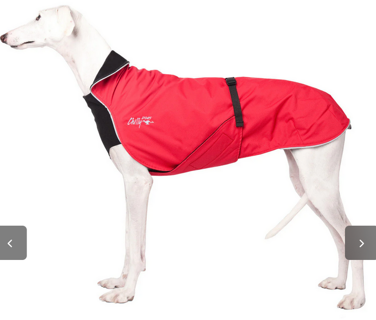 Chilly Dogs Chilly Dogs - Alpine Blazer 3 Season - Standard - 12 - Red