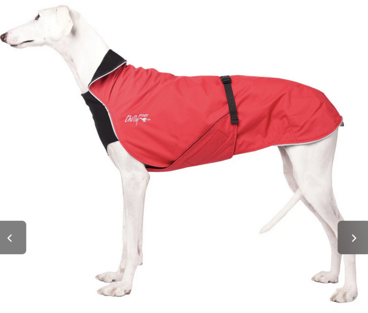 Chilly Dogs Chilly Dogs - Alpine Blazer 3 Season - Standard - 16 - Red